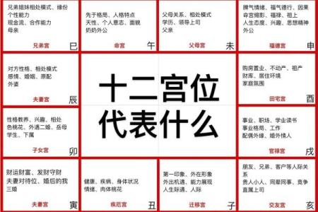 紫薇斗数速成