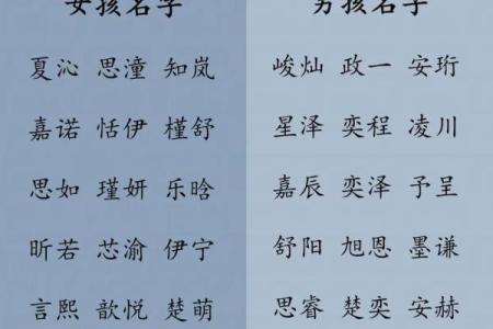 2019年6月10号子时出生的男孩应该起什么样的名字姓名