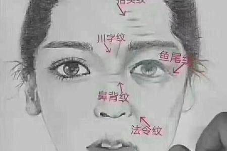 从法令纹看相算命