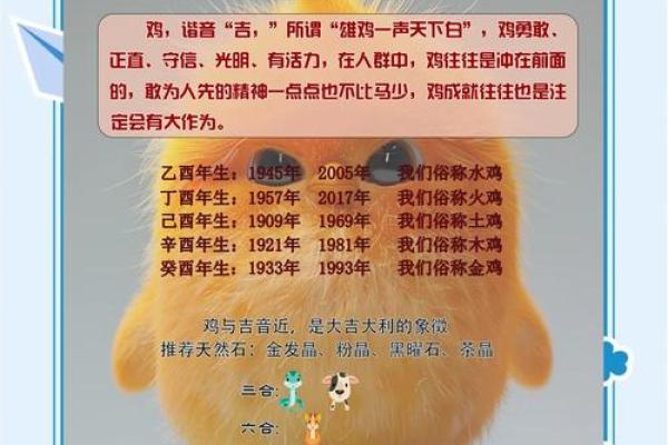 中午出生的属鸡男孩取名字用什么字合适姓名