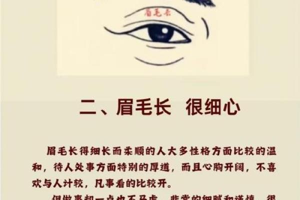 面相八字学：如何看懂一个人的性格与命运？