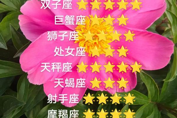明天所有星座总体运势