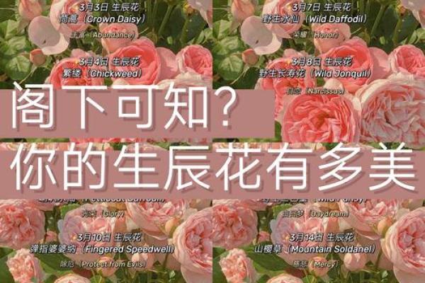 3月5日生日花语：绿菟葵，3月5日是什么星座？