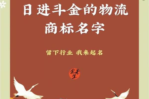 物流公司取名大全-名字大全姓名