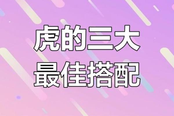 生肖虎配对