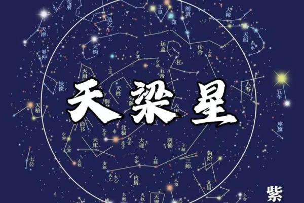 紫微斗数密宗 紫微斗数密宗星法？