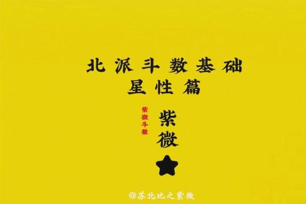道教紫微斗数 道教紫微星？