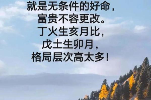 八字格局高的人命运
