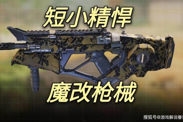 使命召唤12星座最适合用什么枪