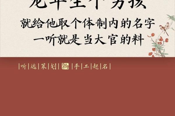 属龙子时出生的男孩要怎么取名-用什么字好-姓名