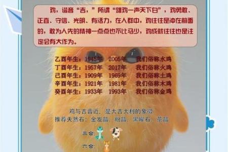 中午出生的属鸡男孩取名字用什么字合适姓名