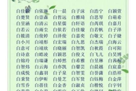 姓名配对的指数有多高 姓名配对准确率？