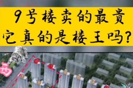 风水买房为啥避免买十不买九楼的房子