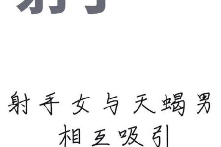 天蝎男射手女配对指数 天蝎男与射手女的配对到底有多高的指数