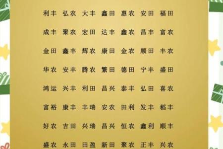 物流公司取名大全-名字大全姓名