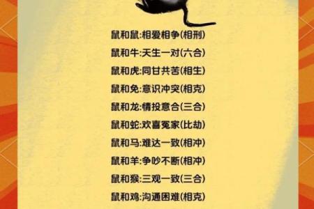 生肖马的姻缘配对，哪些生肖最合适？