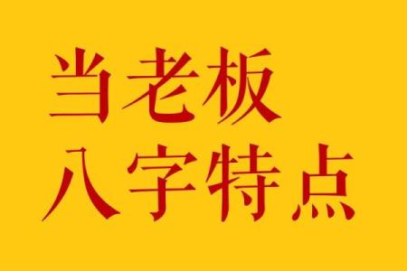领导八字