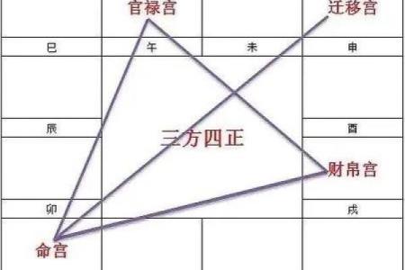 紫薇斗数太阳迁徙