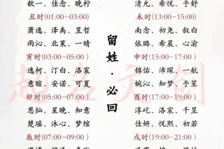 属龙子时出生的男孩要怎么取名-用什么字好-姓名