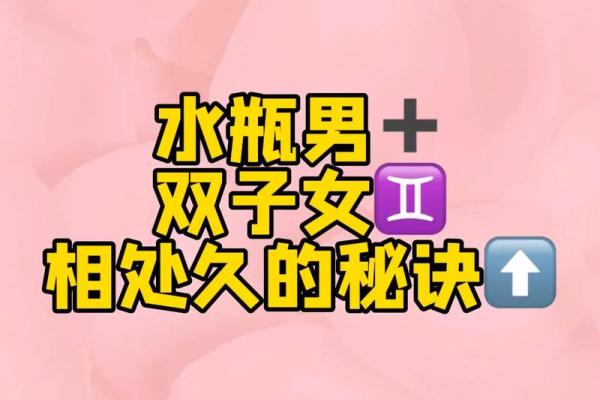 水瓶座跟双子星座配吗
