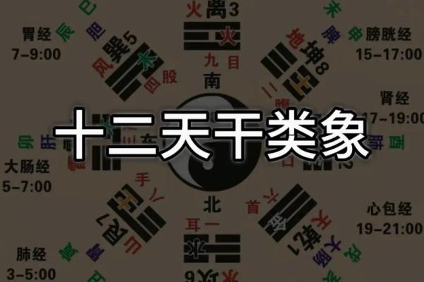 易经网算命
