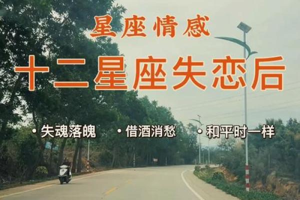十二星座的失恋物语