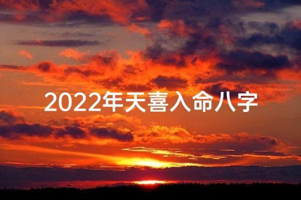 八字大运地支天喜
