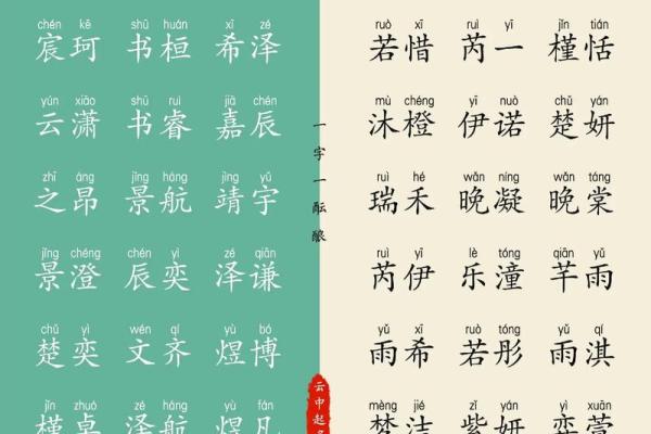 属龙酉时出生的男孩要什么名字好，适合什么字姓名