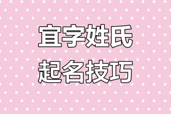 苗姓男孩名字大全-苗姓男孩起名字大全-苗姓名字大全姓名