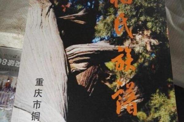柏姓女孩名字大全-柏姓女孩起名字大全-柏姓名字大全姓名