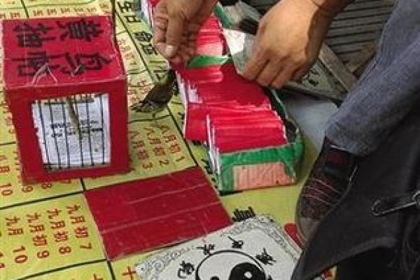 抽签算命姻缘