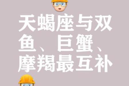 天蝎女和哪个星座最配