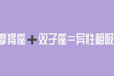 摩羯女和双子男配对指数是多少 摩羯女和双子男适合在一起吗