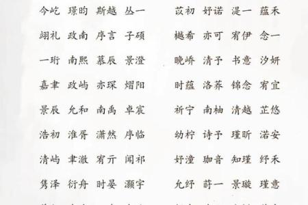 凌晨4点出生的属蛇男孩如何起名姓名