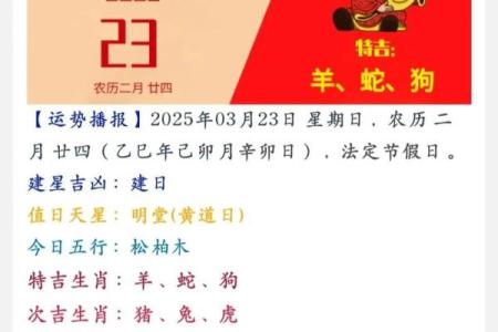 每日分享五行穿衣旺运法，财神富贵运势等
