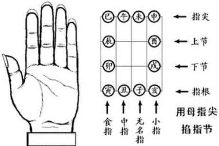 紫薇斗数怎么手动排盘
