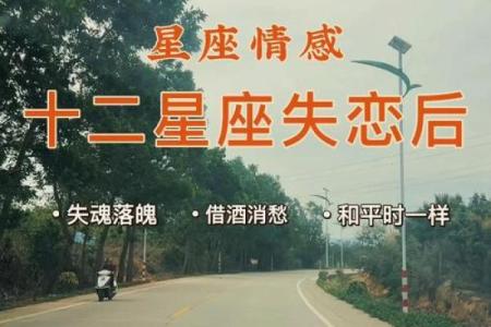 十二星座的失恋物语