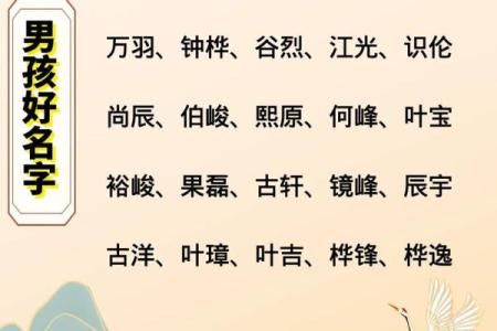 2019年3月28号巳时出生的男孩如何起名姓名