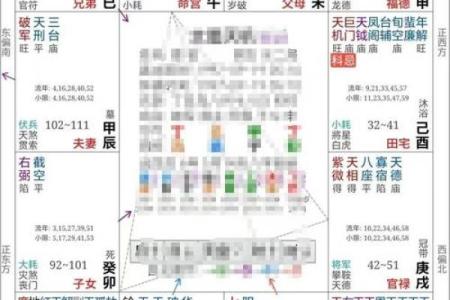 命理学紫薇斗数