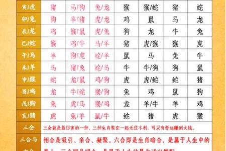 生肖月份配对大揭秘，十二生肖月份怎么搭配最合适