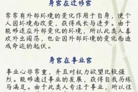 高人汇紫薇斗数