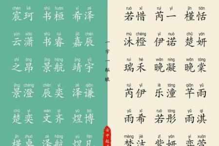 属龙酉时出生的男孩要什么名字好，适合什么字姓名