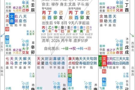 紫薇斗数看文化
