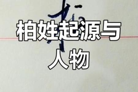 柏姓女孩名字大全-柏姓女孩起名字大全-柏姓名字大全姓名