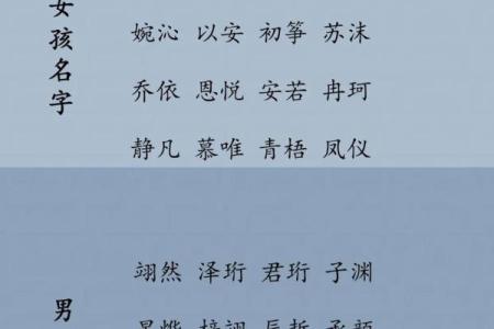 怎样来给属猪亥时出生的男孩起名姓名