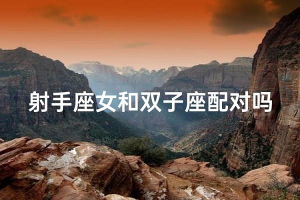 双子座和射手配对吗