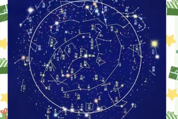 命带紫薇星是什么意思