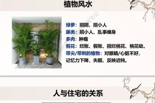 生活风水知识，这些知识要熟悉