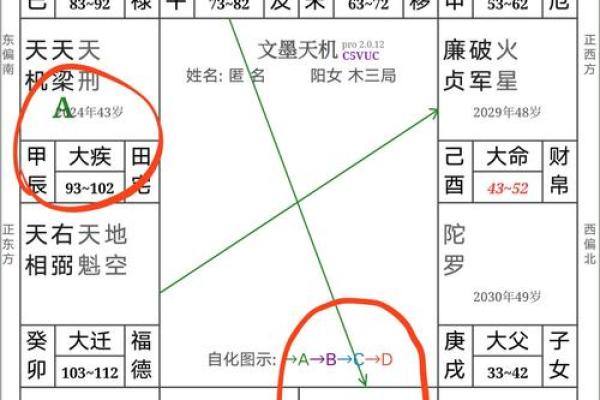 紫薇斗数怎么批命