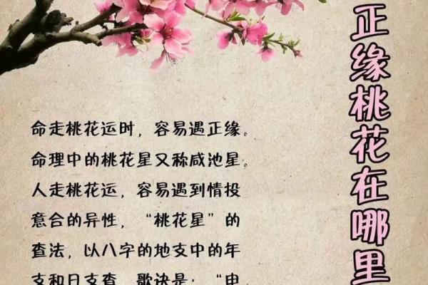 免费四柱算命 四柱算命真的免费吗